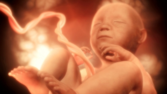 gcui_scnstore:video_category_videos